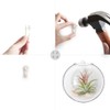 Mkono Wall Hanging Glass Terrariums Planter Oblate Flower Vase for