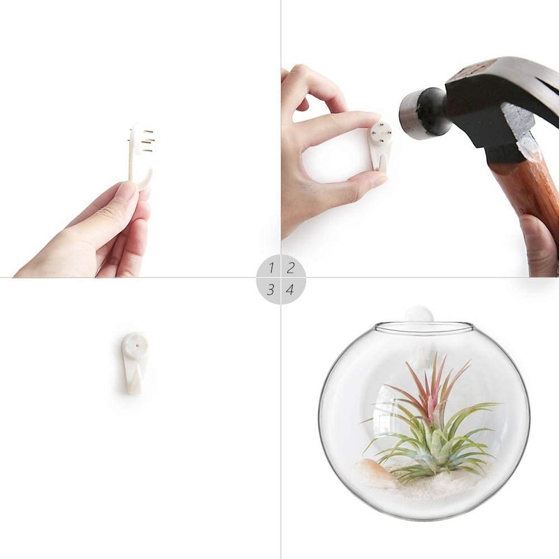 Mkono Wall Hanging Glass Terrariums Planter Oblate Flower Vase for
