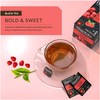Wissotzky Raspberry Boost Black Tea (6 Pack - 120 Tea