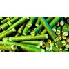 Lucky Eagle PreRolled Cones - Natural Pre Wrap Cones -