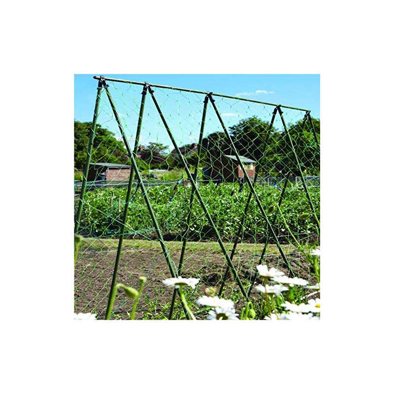Greenfingers Pea and Bean Net 10m x 2m