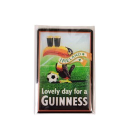 Shamrock Gift Company Guinness Ireland Toucan Magnet