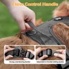 Light up Dog Harness, Adjustable Small Dog Harness, No Pull