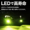 Meliore LED Fog Light Fog Light 12V 24V Green Apple