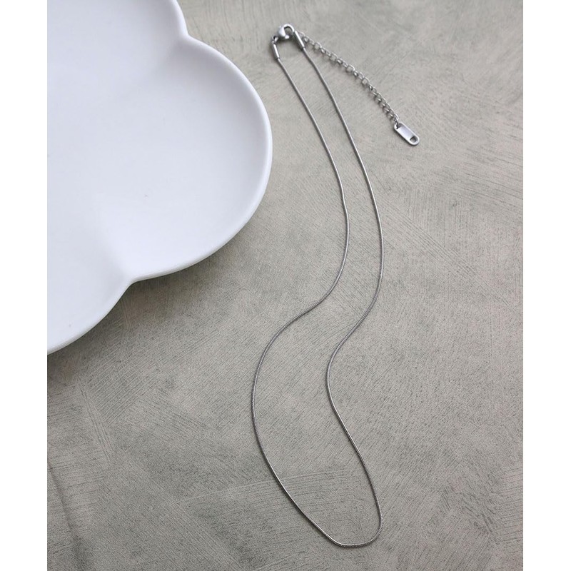 Vingtaine TC026 Necklace Snake Chain, Surgical Stainless Steel, Hypoallergenic, Rust