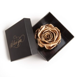Infinity Rose Preserved Rose Box I Love You Gift for Women, black-gold