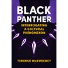 Black Panther: Interrogating a Cultural Phenomenon