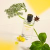 Bastille Rayon Vert Perfume, 15ml