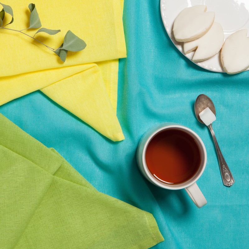 Now Designs Floursack Kitchen Dish Towels,Cotton, Chartreuse/Turquoise/Leaf 20 x 30in,