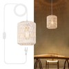 Plug in Pendant Light, Rattan Hanging Lights with Plug in