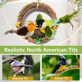 Havenfly Juguetes Interactivos para Gatos, Juguetes de Pájaros de Chirriante con Hierba Gatera, Estimule la Naturaleza Cazadora del Gato