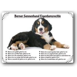 Merchandise for Fans Tin Sign / Warning Sign / Door Sign Aluminium 20 x 30 cm Property Rights Motif: Bernese Mountain Dog (01)