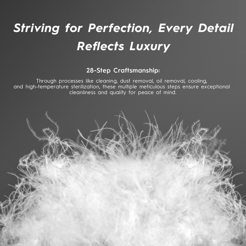 Globon Ultra Soft Down Pillow Queen Size, All Down Filled