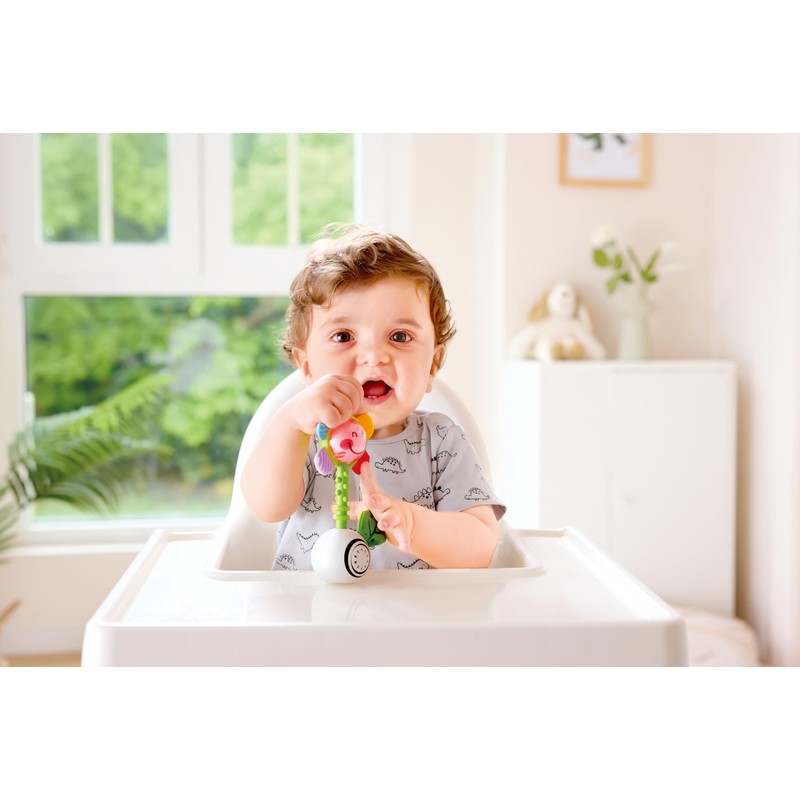 Hape Musical Flower Rattle | Multisensory Toy for Babies |