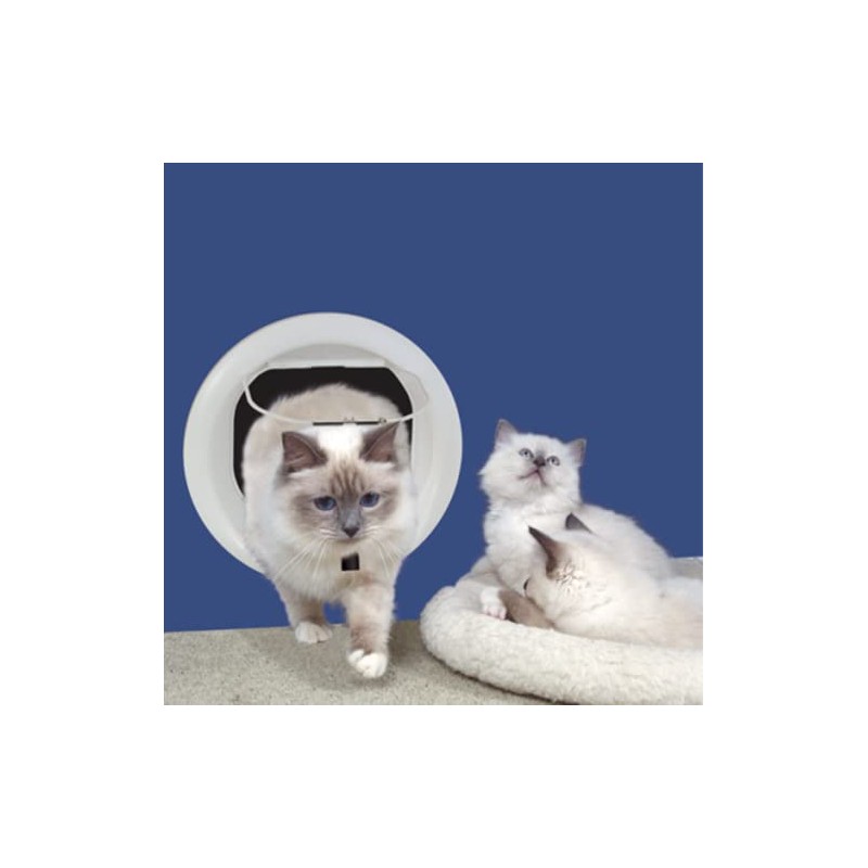 Catwalk Glass Fitting Multi-Magnetic Cat Door