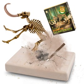 MUSCCCM Dinosaur Toy Excavation Set, Dinosaur Dig Kit Realistic 3D Skeleton Dinosaur Model Educational Toy Fossil Digging Kit Gift for Children