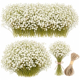 100Pcs Baby’s Breath Flowers, White Gypsophila for Wedding