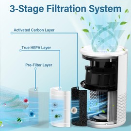 Borgodf 2 Pack B-D02L/M05 Replacement Filter Compatible with MOOKA B-D02L & M05, for VEWIOR B-D02U, for KOIOS B-D02L, for Tailulu D10 Air Purifier, H13 HEPA Filter for MOOKA B-D02L Replacement Filter