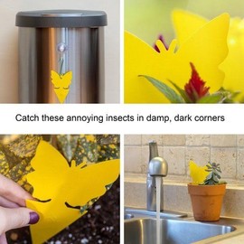 18/48 Pack Sticky Fruit Fly Trap and Fungus Gnat Traps Killer for Indoor and Outdoor - Quantity: 48