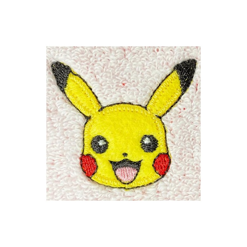 Hayashi PO207600 Mini Towel, Approx. 9.8 x 9.8 inches (25
