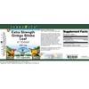 Extra Strength Ginkgo Biloba Leaf 4:1 Extract - 450 mg