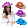 Sombrero Vaquero Rodeo Tornasol Disfraz Batucada Texano