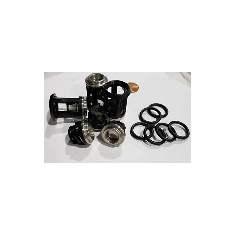 AR Annovi Reverberi Replacement Valve Kit 6 Pack, AR2869, Black