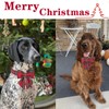 Unique style paws Christmas Dog Collar with Bow Tie Red