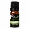 PACALLI Aceite Esencial de Romero 100% Puro 10ml - Aromaterapia