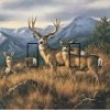 SwitchStix Deers SwitchStix Double Toggle