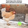 Chicken Ball Toy Slow Feeding Safe Odorless Interesting Fruit Vegetable