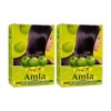 Hesh Pharma Amla Hair Powder 3.5oz., 100g (Pack of 2)