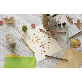 STABILO Pen 68 - Premium Fibre-Tip Pen - Pack of 10 - Umber