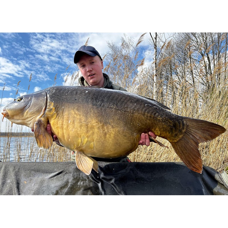 Tandem Baits SuperFeed Diffusion Booster Chili & Robin Red Carp