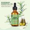 Rosemary Essential Oil, Organic Rosemary Oil for Hair Growth, Aromatherapy