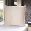 townssilk 100% 19 mm Pure Mulberry Silk Pillowcase for Hair