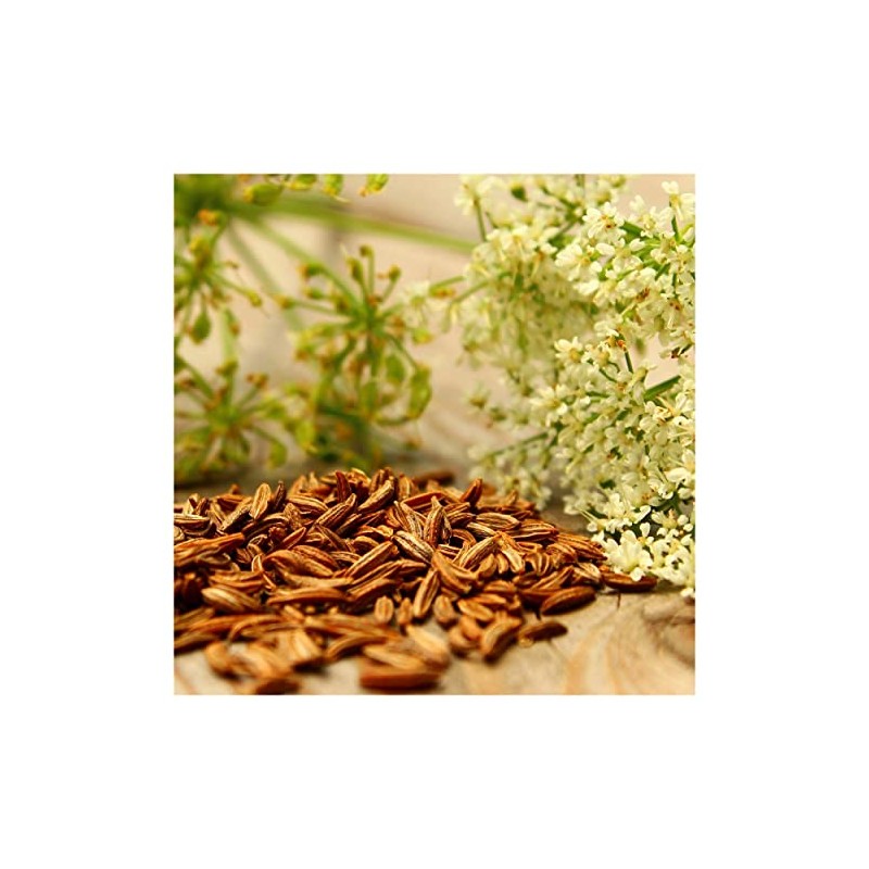 Everwilde Farms - 1/4 Lb Cumin Herb Seeds - Gold