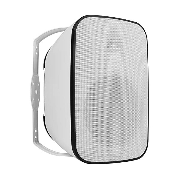 Dayton Audio IO8XTW 8" 70/100V 8 Ohm Indoor/Outdoor 2-Way Speaker