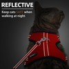 PUPTECK Cat Harness and Leash Set Escape Proof, Reflective Adjustable