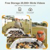 birdsnap® P33 - Smart Bird Feeder with Camera Solar Powered,