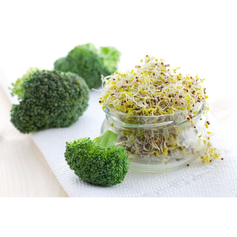 Todd’s Seeds - Calabrese Broccoli Sprouting Seeds, 1 lb -