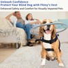 Fhiny Blind Dog Harness Guiding Device, Blind Dog Guide Pet