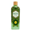 Shampoo Huichol Artesanal De Sabila Anticaida Original 400 ml