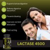 Lactase 4500