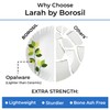Borosil Gourmet Dinnerware Set For 6, 19 Pieces, White Dinner