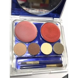 Estée Lauder ESTEE LAUDER Boise De Rose  LIPSTICK  PALLETE + 4 Eyeshadow