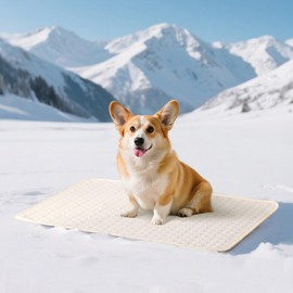 Soulbond Dog Cooling Mat - 25" x 35" Washable Cooling Mat for Dogs & Cats, QMAX>0.3, Anti-Slip Bottom, Portable Summer Cool Pet Pad for Indoor/Outdoor/Travel Use, Pearl White