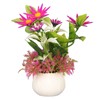 2pcs Artificial Aquarium Plants Silicone Flowers Reusable Resin Pots Fish