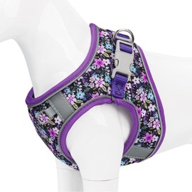 Dog Harness Small Sized Dog - No Pull Reflective Adjustable - Step-in for Small, Medium, Large Dogs & Cats- Easy Control, Comfortable Fit, and Leash Option for Walking and Training Purple Floral XXS