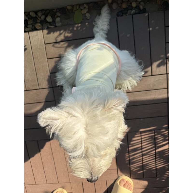 2Pcs Cooling Shirts for Small Dogs, Sleeveless Dog Vest, Lightweight